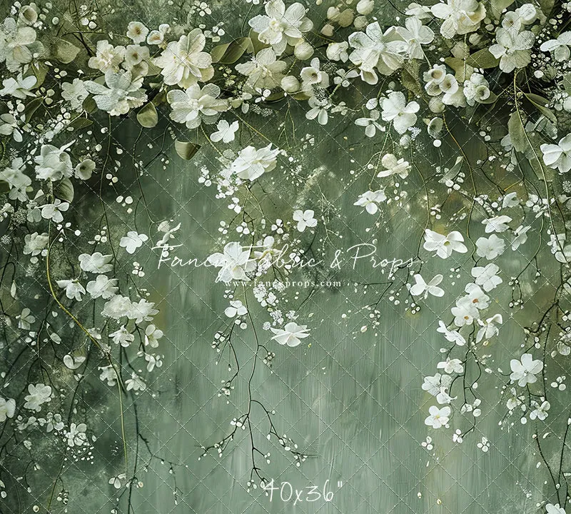 Painted Clematis  - Petite