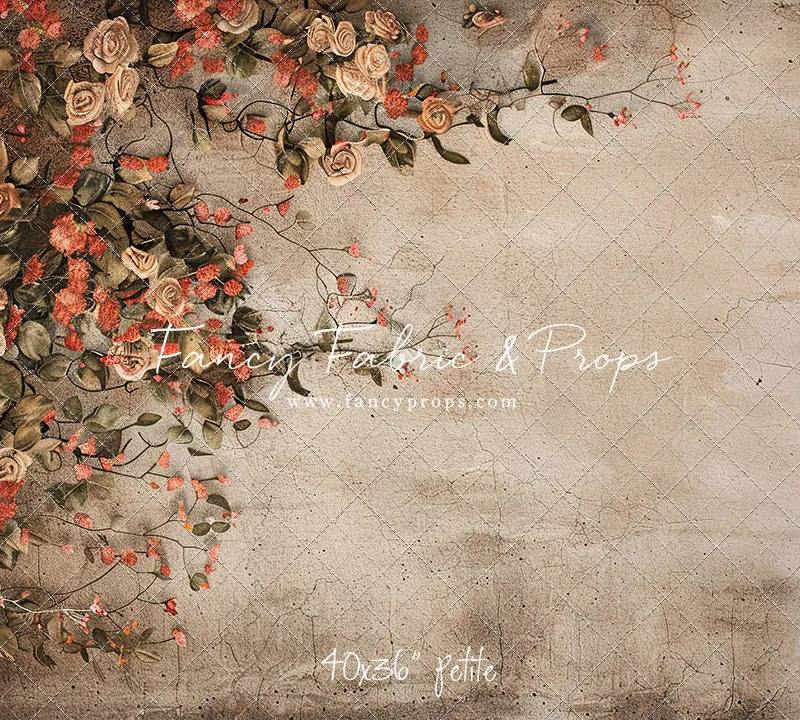 Painted Rose- Petite