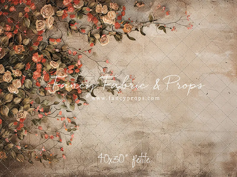 Painted Rose- Petite