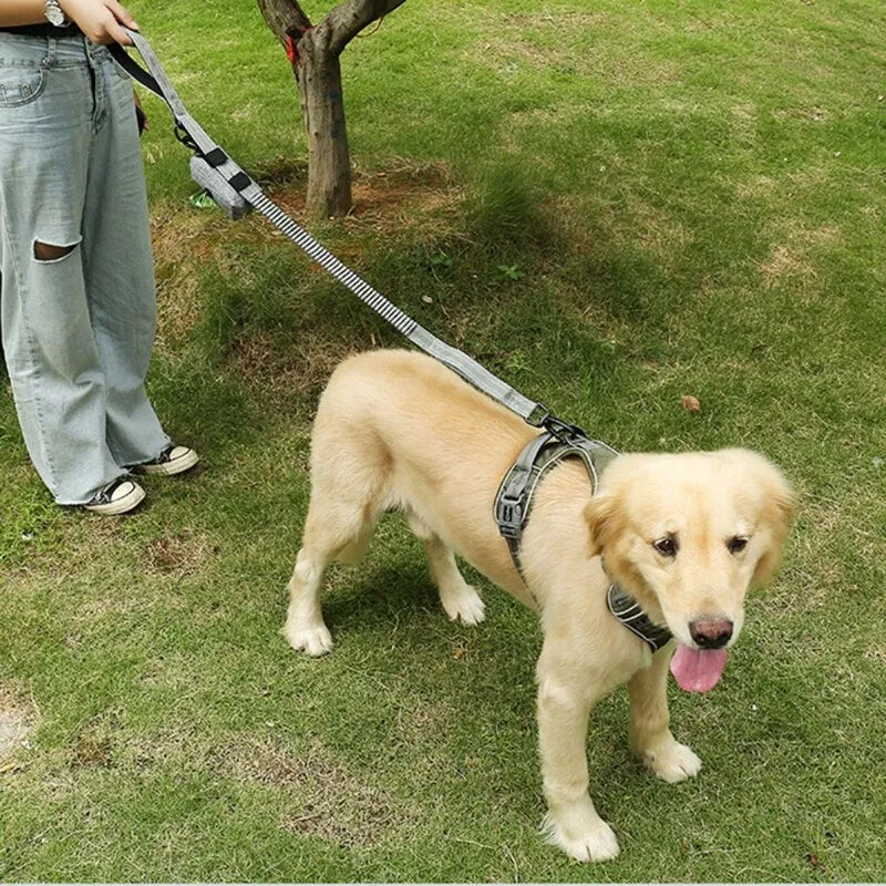 Portable Pet Puppy Pick Up Poop Bag
