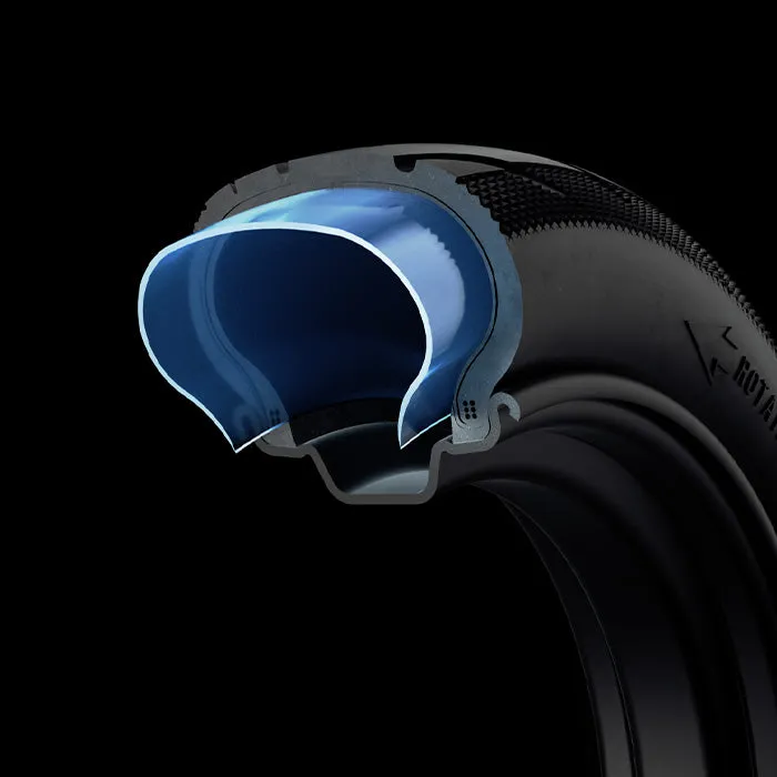 Segway Ninebot E2 PRO Electric Scooter